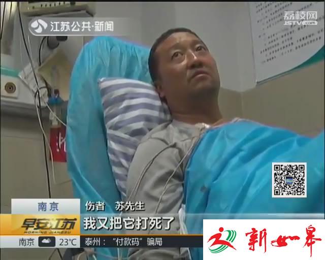 湖南村民被眼镜蛇咬伤 火速到六合注射血清-雉水网