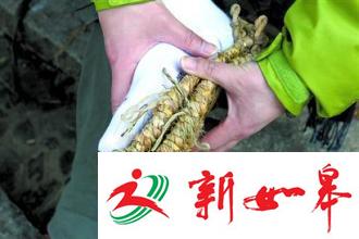 高校组织师生穿草鞋“长征” 学生脚底磨破-雉水网