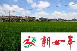 农用地流转有指导价格了-雉水网