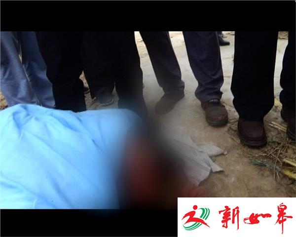 紧急救援：钉耙插进八旬老人颅骨-雉水网