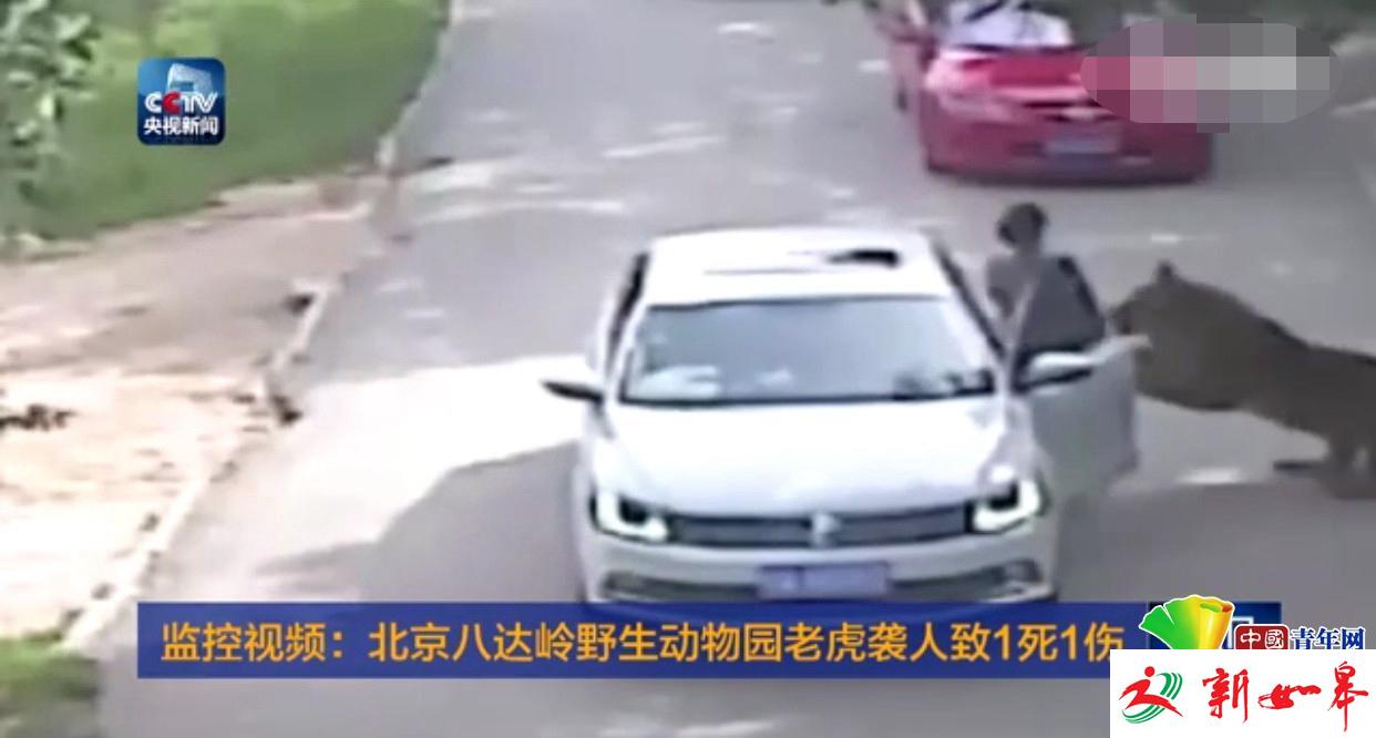 中消协回应老虎伤人事件:消费者违规≠经营者无责-雉水网