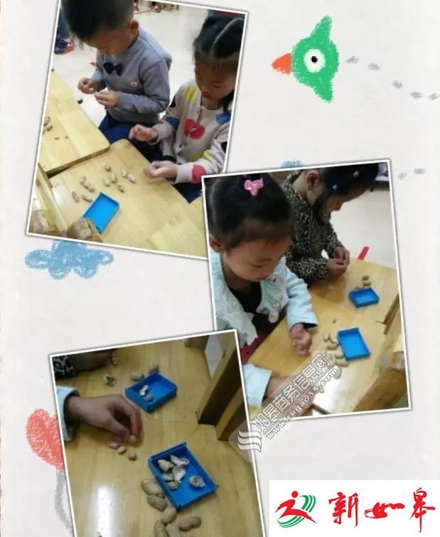 如皋西城幼儿园举办餐后游戏 学生剥花生总结经验和心得-雉水网