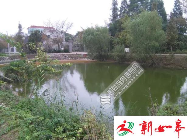 官方回应如皋九华土管所退休所长将村级河道建成私家鱼塘事件-雉水网