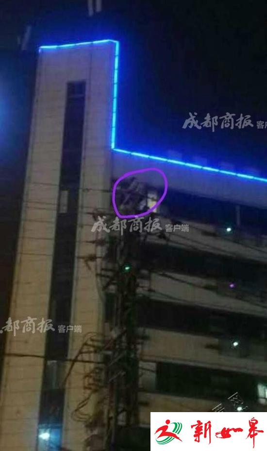 四川一女子爬高压电塔触电 爆出火球烧4分钟身亡-雉水网