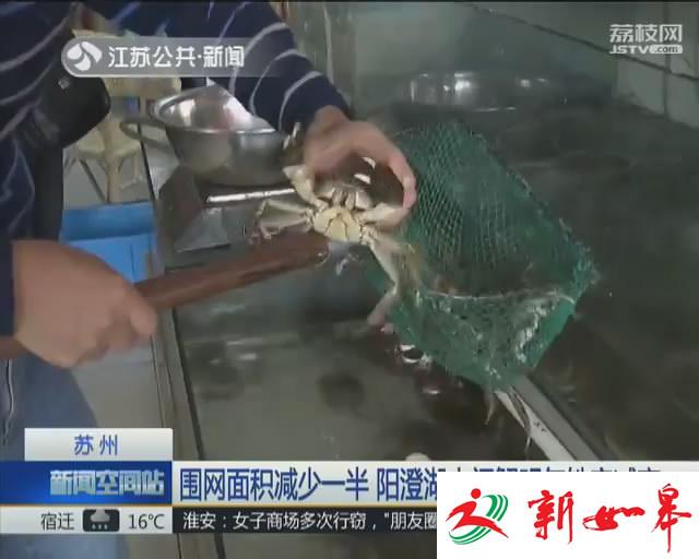 围网面积减少一半 阳澄湖大闸蟹明年铁定减产-雉水网