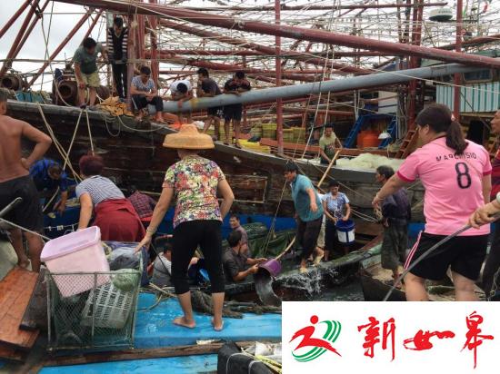 民政部：台风“莎莉嘉”致粤桂琼374万人受灾-雉水网