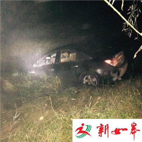 轿车避让不及冲到河中捡回一条命-雉水网