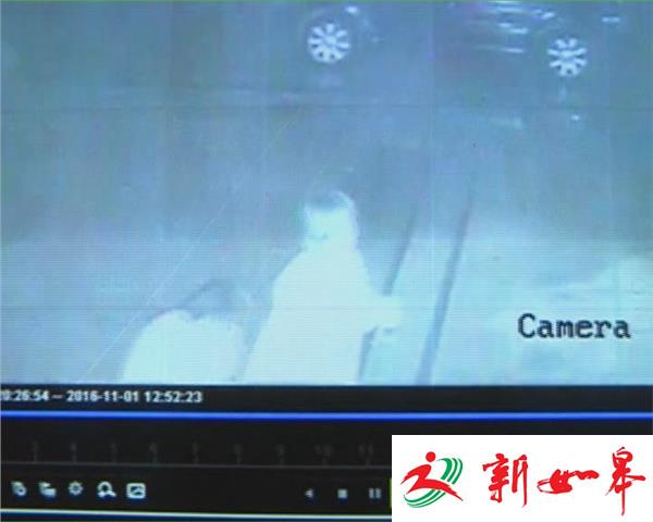 撞上人后现场逃 排查监控锁定真凶-雉水网