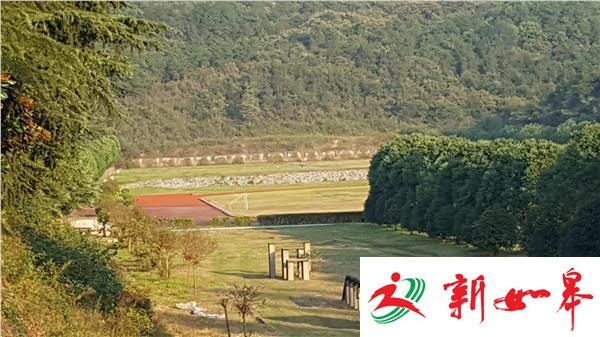 南京流弹伤人事件后续：规划部门将对全市靶场摸底、测距-雉水网