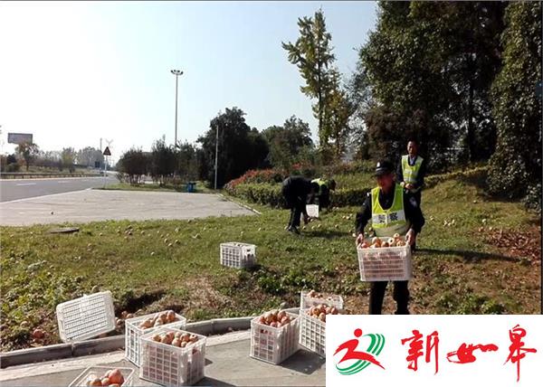 货车侧翻 4千斤苹果散落服务区-雉水网