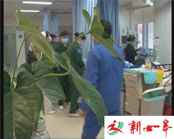 淮安“血液”全线告急 多家医院停止手术或延期手术-雉水网
