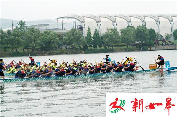 南京正积极申办2017年龙舟世锦赛-雉水网
