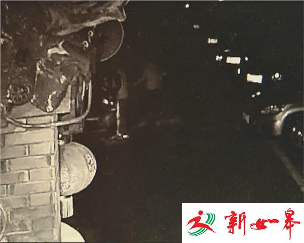 “少年贼王”年仅13岁 作案多达200多起-雉水网