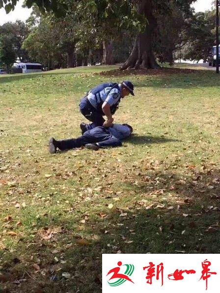 中国游客在澳洲便溺 被发现后装病拒捕-雉水网