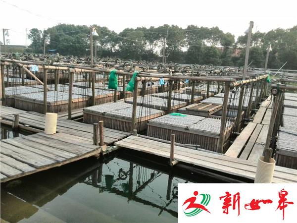 江苏检验检疫局就太湖大闸蟹发现致癌物二噁英通报-雉水网