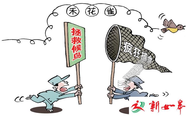 如皋一村民猎捕野生鸟类被判刑 家中被发现冰冻鸟类273只-雉水网