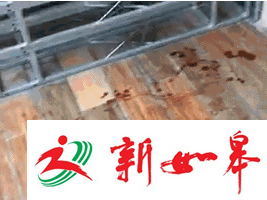 如皋石庄小伙在海门被刺身亡 受朋友牵连遇害-雉水网