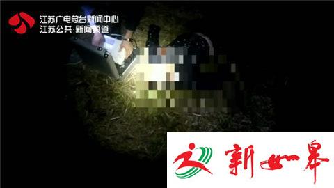 男子电捕鱼不慎触电 跌落水中溺亡-雉水网