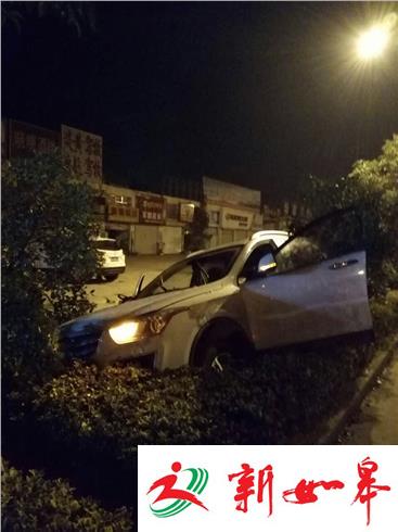 淮安一轿车撞到绿化树受损严重-雉水网