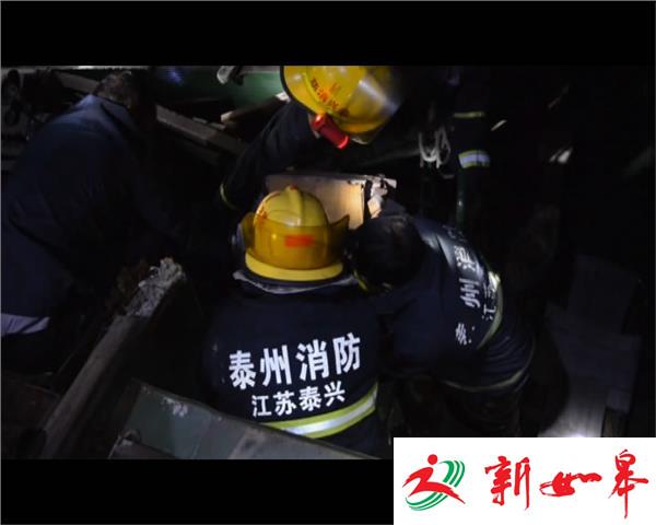 深夜货船撞上桥梁 驾驶员不幸身亡-雉水网