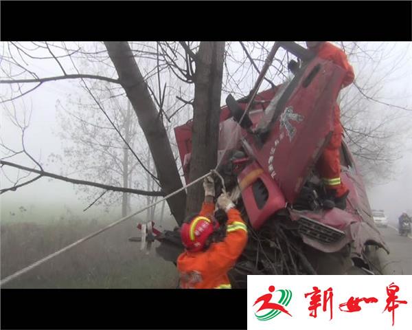 雾天行车 半挂车撞上大树-雉水网