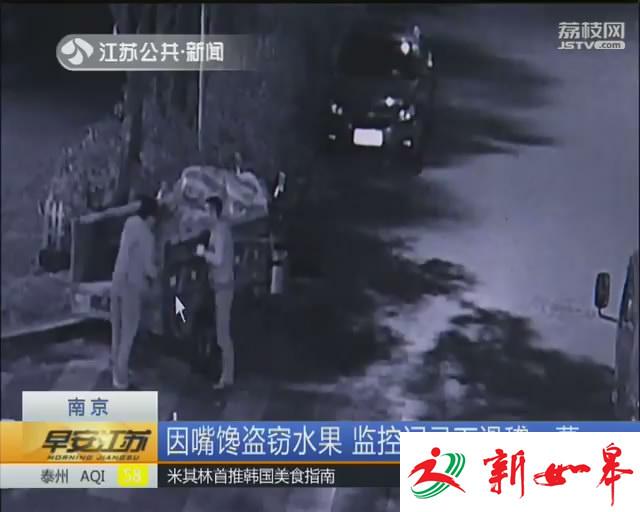 两男子盗窃十多箱水果 作案动机是因为嘴馋了！-雉水网