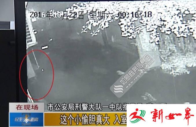 如皋一家粮油店保险柜被到盗走 警方两天内将嫌疑人抓获-雉水网