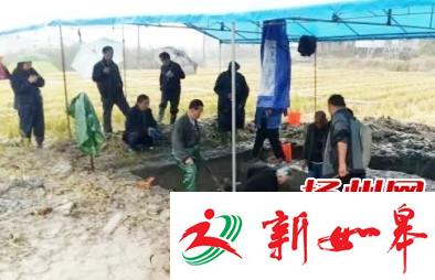 扬州一收割机秋收陷进大坑 引出清朝古墓-雉水网