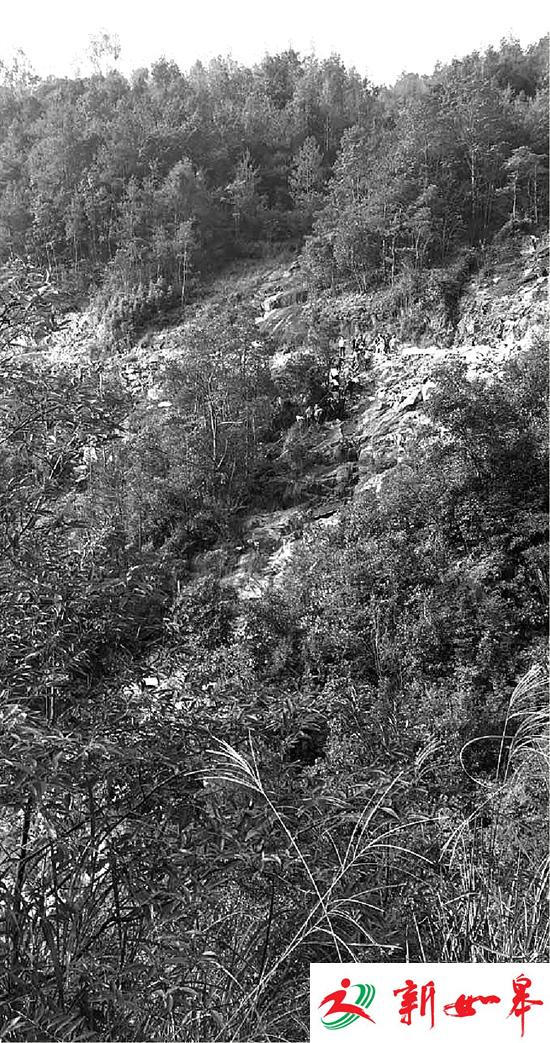 浙江一村主任整修山路时坠崖 曾放弃老板生活当村官-雉水网