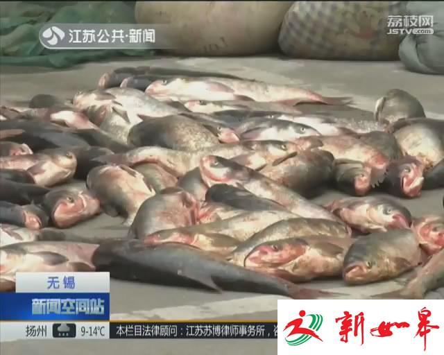 蠡湖水域禁止捕鱼  团伙偷捕700公斤被查-雉水网