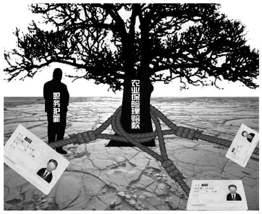 村干部借村民身份证贪污200万：用一次十块钱-雉水网