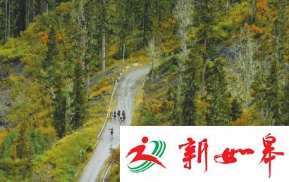 揭秘四川巡山骑警：听狼嚎追马贼 每次任务都是玩命-雉水网