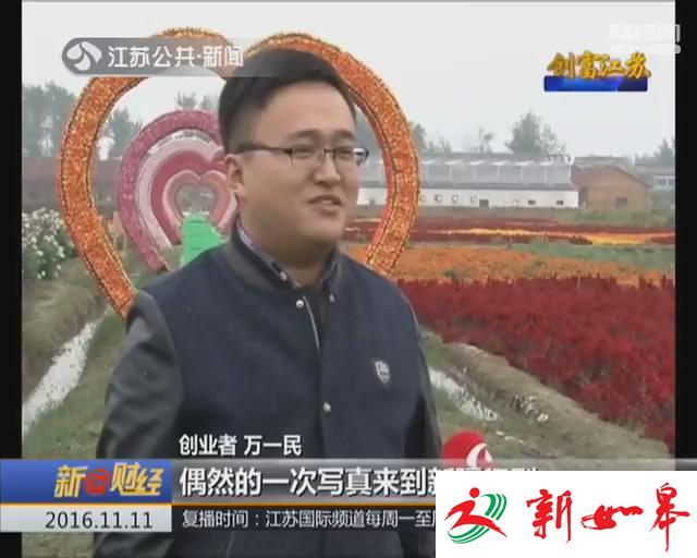 创富江苏：置身紫色海洋 打出薰衣草产业“组合牌”-雉水网