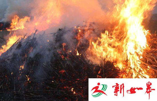 江苏省环保厅公布今秋秸秆焚烧“第一把火”-雉水网