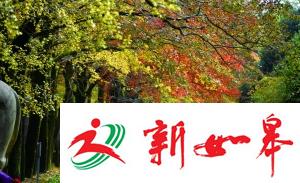 赏秋需抓紧！20℃的双休可能就剩这周了-雉水网