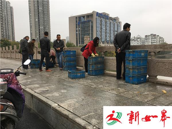 汉中门桥倾倒数千斤螺蛳放生市民担心水土不服-雉水网