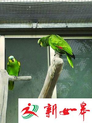 盐城警方破获特大非法出售濒危野生动物案-雉水网