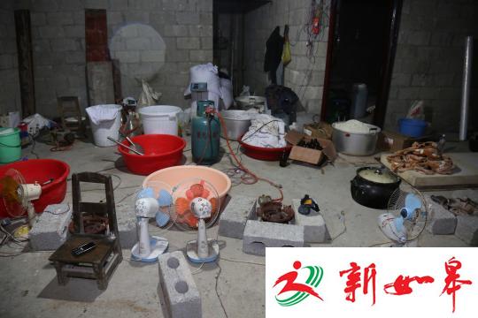 广西河池警方侦破特大制造毒品案 缴获K粉659公斤-雉水网