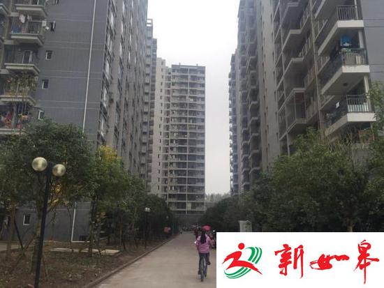 四川一村支书谎称可申请公租房，4年骗近千人两千万元被诉-雉水网