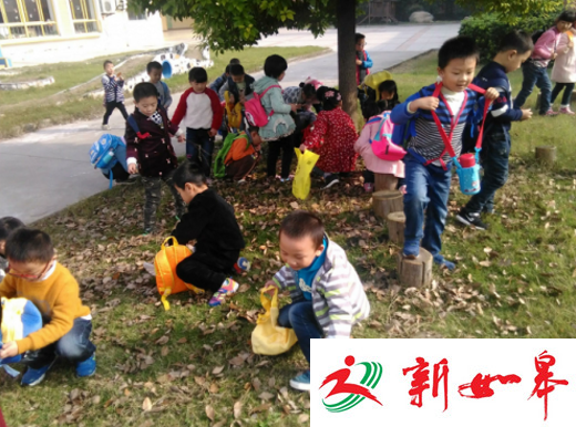 如皋东皋幼儿园开展“初冬里的探知”体验活动-雉水网