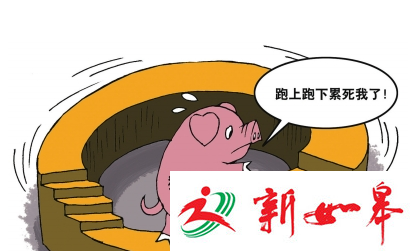 如皋生猪价格创年内新低　市民乘低价赶灌香肠-雉水网