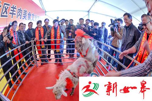 新北羊肉美食文化旅游节开幕 将持续至明年2月-雉水网