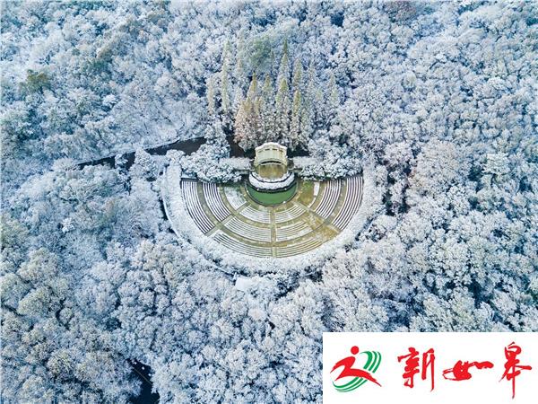 今天凌晨四点的南京东郊风景区 你一定没见过-雉水网