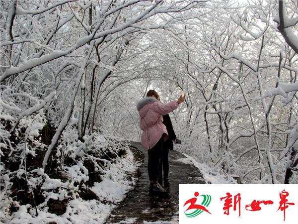 原来幕府山还有这样的白色童话世界-雉水网