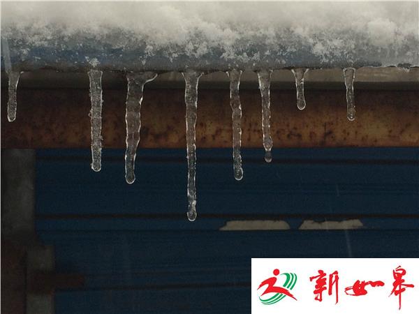 美呆了！南京下雪又结冰凌-雉水网