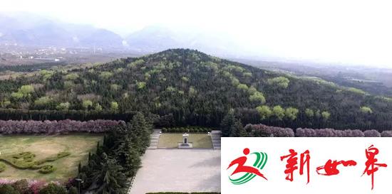 考古最新发现：秦始皇陵里竟然有个“动物世界”-雉水网