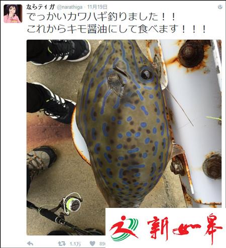 网友吃鱼前晒了张照片 没想到捡回一条命-雉水网