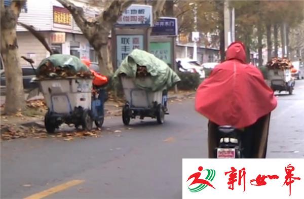 寒潮来袭树叶垃圾落满地环卫日扫垃圾20多车（视频）-雉水网