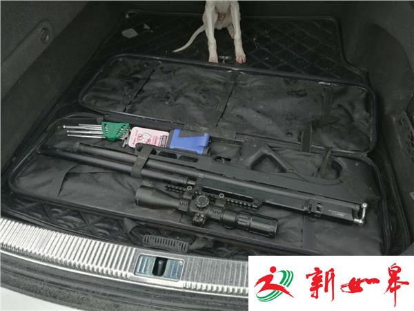 大丰交警查获一非法持有枪支犯罪嫌疑人-雉水网