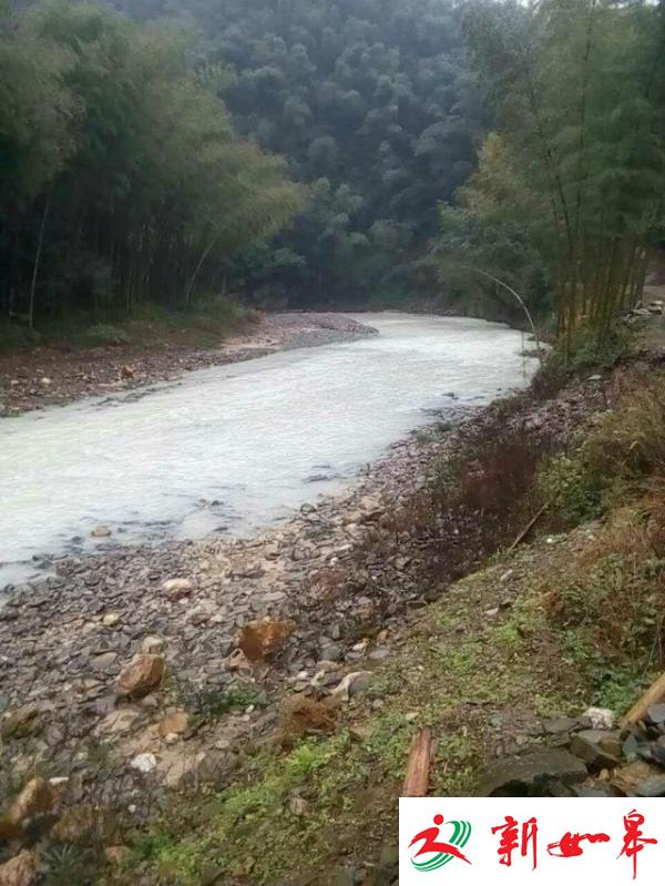 湖南金矿排剧毒物致河水变白 官方：鱼虾都是活的-雉水网